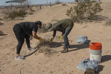 CC Wetlands 21