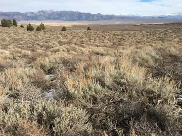 Site of the proposed drilling project