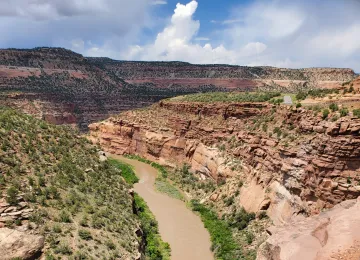 Dolores River
