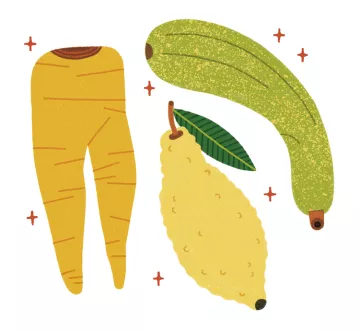 Five Steps to Zero Waste