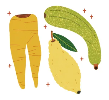 Five Steps to Zero Waste