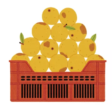 Reducing Waste at Home
