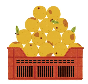 Reducing Waste at Home