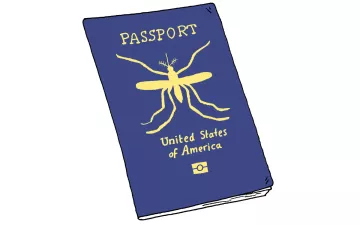 US passport with a mosquito on the cover