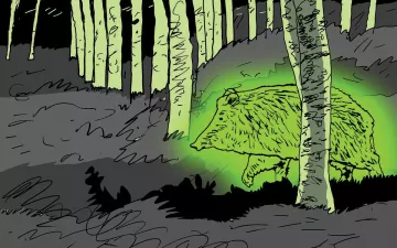 Illustration of a radioactive boar