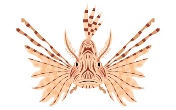 An illustration of a lion fish