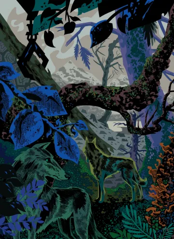 Rainforest illustration