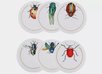 six ceramic coasters of insects