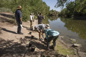 Planting
