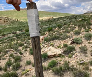 Claim stake