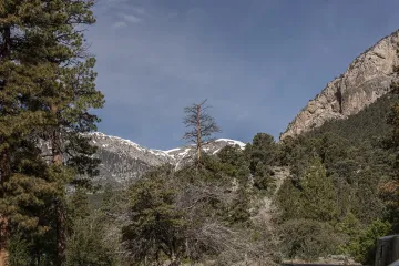 Fletcher Canyon
