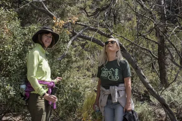 Fletcher Canyon