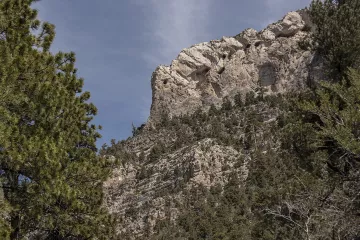 Fletcher Canyon