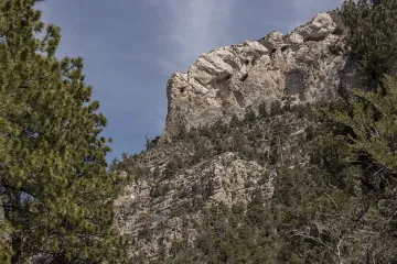 Fletcher Canyon