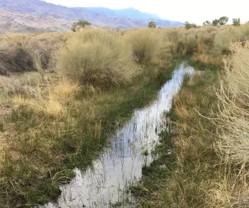 Hines Spring April 2022