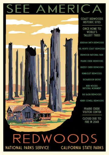2050 Redwoods poster