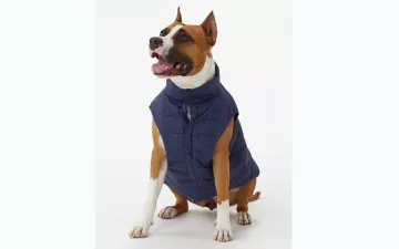 Ellie dog jacket