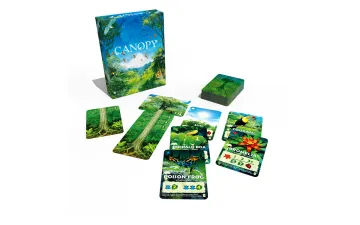 Canopy inside of the box