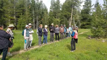 Wildflower hike