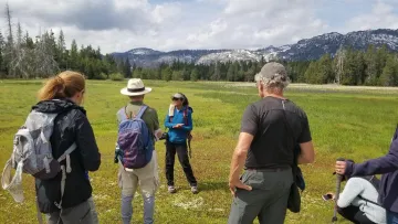 Wildflower hike