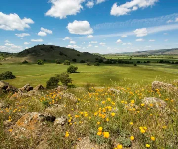 Coyote Valley