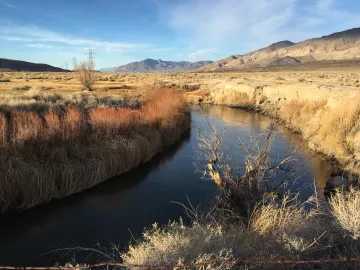 Owens River Above Intake