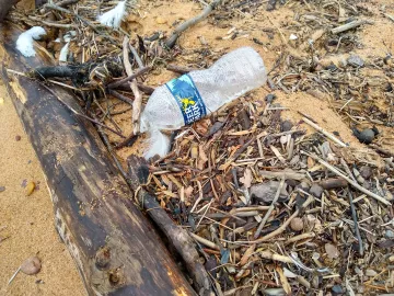 plastic bottle by roadside