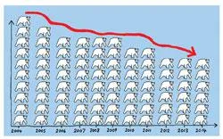 graph of polar bears getting smaller
