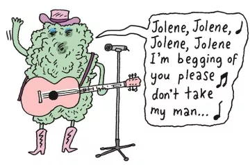illustration of a lichen singing a Dolly Parton song
