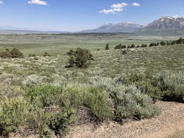 Hot Creek landscape