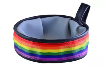 rainbow striped pet bowl