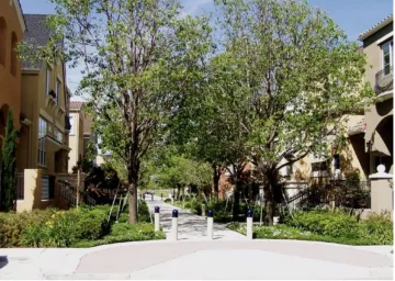 Landscaped street