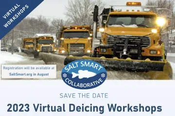 Virtual Deicing Worshops