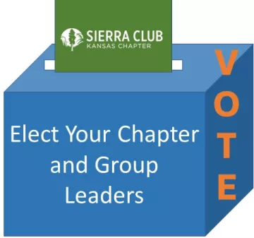 blue ballot box with green sierra cklub ballot in slot