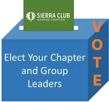 blue ballot box with green sierra cklub ballot in slot