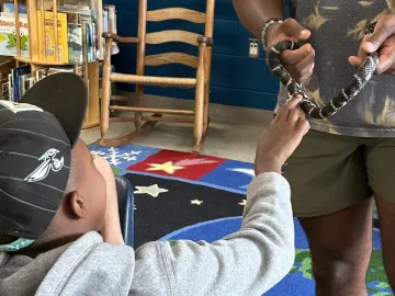 A child reaches out to touch a snake held by an adult volunteer