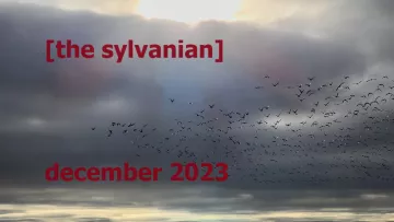 Flock of birds against a cloudy sky; image courtesy of Ubunt via Creative Commons