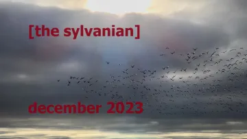 Flock of birds against a cloudy sky; image courtesy of Ubunt via Creative Commons