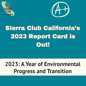 Report card graphic with text