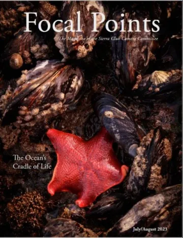 Focal Points July Aug, 2023