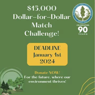 2023 Dollar-for-Dollar