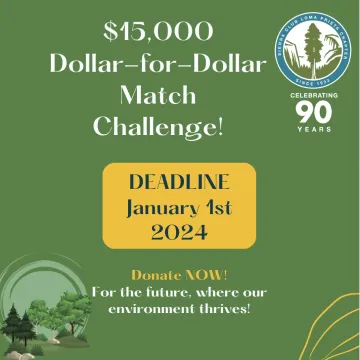 2023 Dollar-for-Dollar