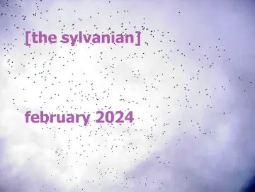 Flock of birds in a cloudy lavender sky
