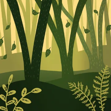 Forests and Wildlife