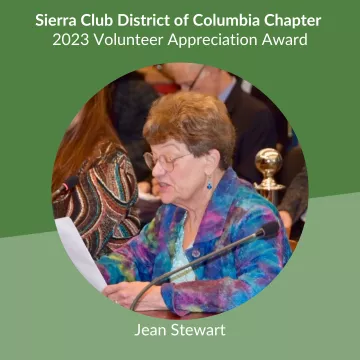 Graphic with photo of Jean Stewart