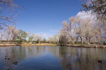 FLOYD-LAMB-CLEANUP.12-One of the stunning four ponds at Floyd Lamb Park at Tule Springs. American coots, Canada geese, rudy ducks, cormorants, mallards, and many assorted wildlife swim in these ponds.