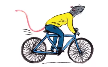 Illustration shows a rat in a yellow sweater riding a bike