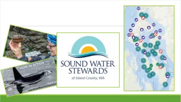 Sound Water Stewards