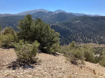 North side of Brawley Peaks in the distance