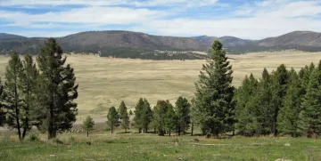 Valles Caldera